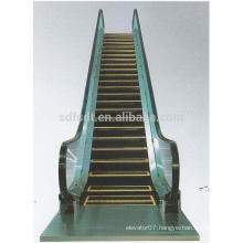 FJZY passenger escalator with Japanese technology,high safety0.5m/s.0.25m/s